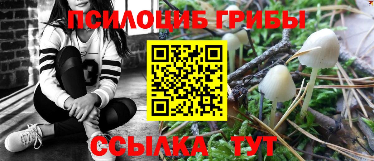 Галлюциногенные грибы Psilocybe  Вход с VPN  Губкин 